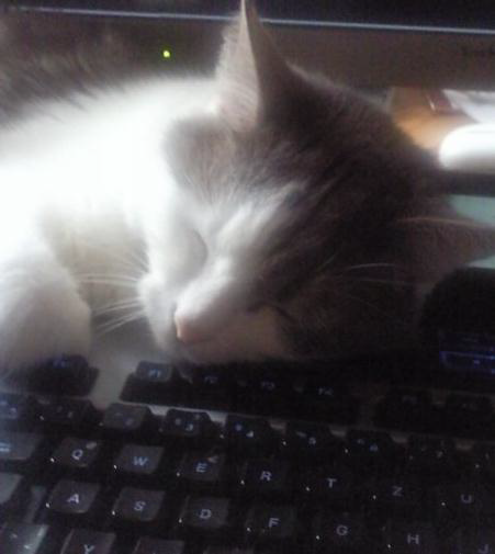 Localization_at_Blizzard